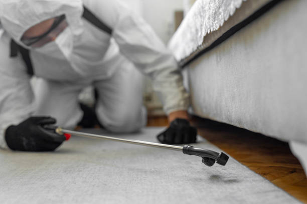 Professional Bed Bug Control technician working in Hoback, WY